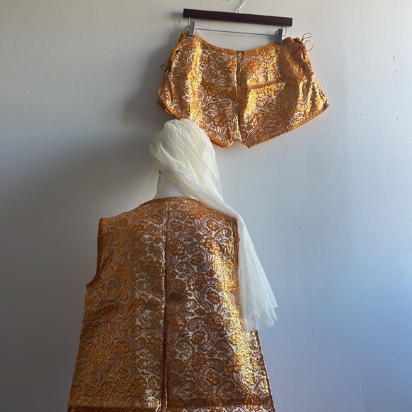 Vintage Middle Eastern Halloween Costume Veil - Picture 6 of 10